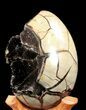 Septarian Dragon Egg Geode - Black Crystals #37124-2